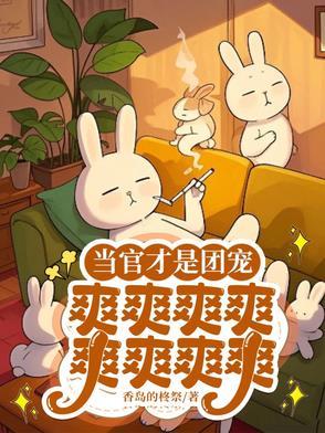 县委书记下一步去向