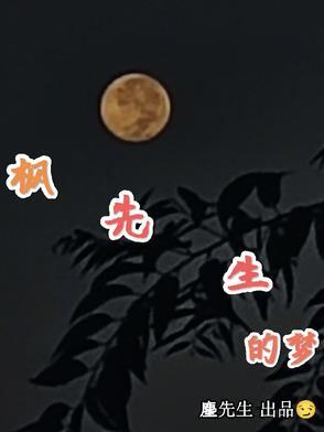 枫山先生的生平故事