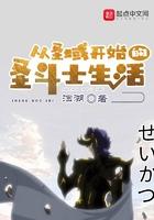 从圣域开始的