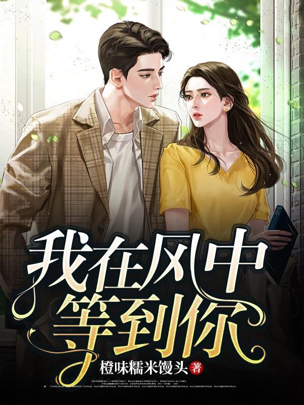 我在风中等你百科