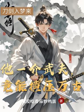 他是一介匹夫他效力一座皇都