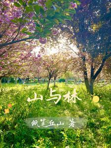 山与林字最佳组合