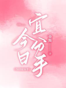 今日宜分手pallava