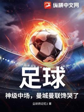曼城中场球员名单