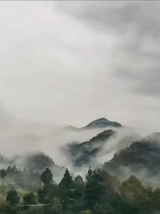 声秘复苏全文免费阅读