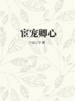 宦宠第41章完整版