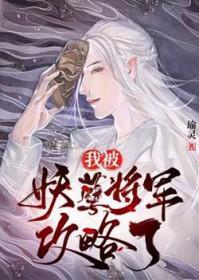 我的妖孽将军 男男之风