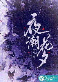 夜潮txt