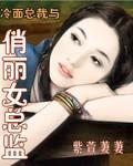 冷面总裁俏逃妻