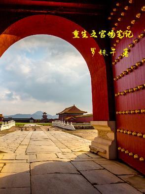 重生之官场沉浮免费阅读全集