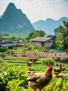 史上最强小神医塔读