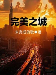 完美之城事件