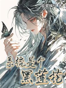 系统黑化