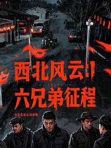 西北风云国语在线观看