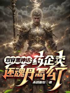 穿越双黑