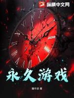 永久游戏盾