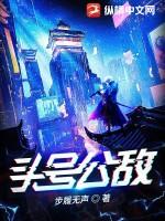 头号公敌1在线观看完整版