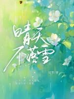 冬日无春满市花