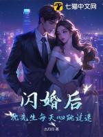 闪婚先生是总裁全文免费