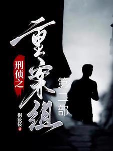 刑侦大案记实