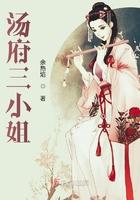 汤小姐二胡独奏