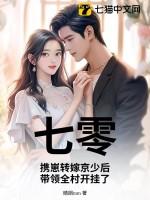 七零携弟带夫录