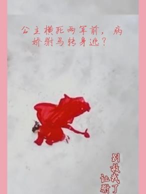 公主被驸马休的