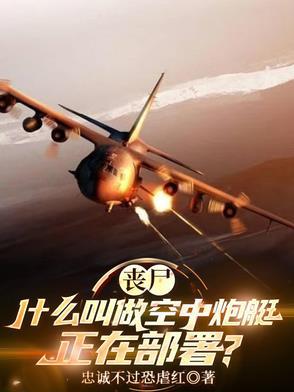 空中炮艇破解版