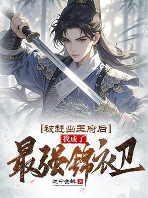 我成了最强锦衣卫 林凡