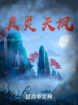 凡人之真灵天凤全文免费