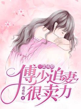 一念成婚娇宠傅太太txt