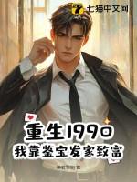 重生九零鉴宝小富妞
