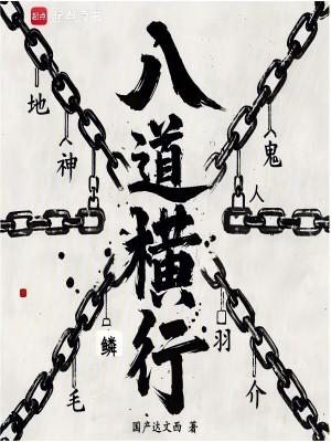八横八纵 线路图