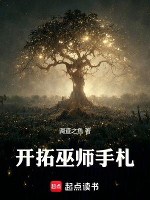 巫师进化手札 零爝