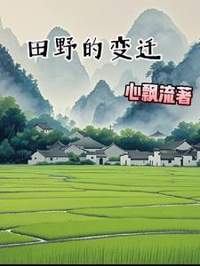 田野概况