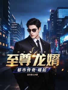 至尊龙婿全集