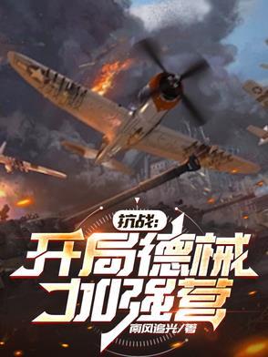 抗战之德械师