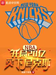 主角在尼克斯的nba