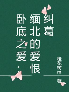 泰剧 卧底