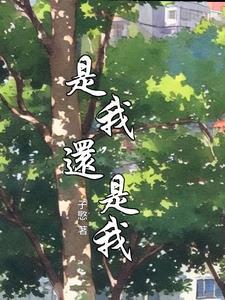 是我还是我那是我的快乐白天的阳光明媚歌词