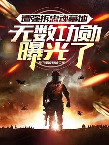 我想看忠魂