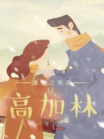 重生之我叫高珊珊