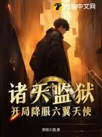 诸天提刑