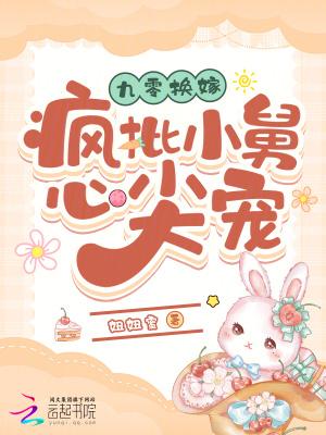 九零换嫁疯批小舅心尖宠