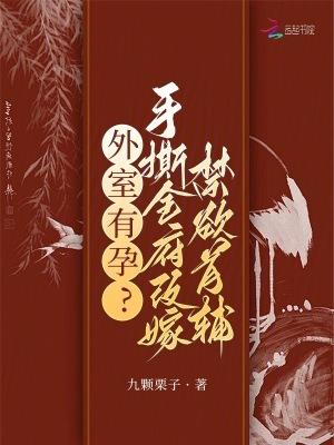 外室免费阅读完整
