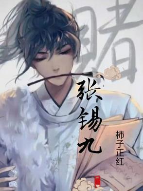 聊城张锡九简介