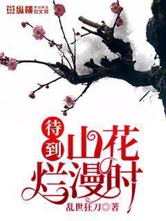 电视剧待到山花烂漫时