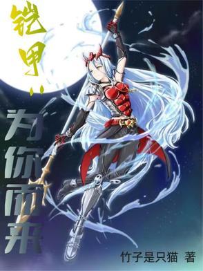 你给我铠甲