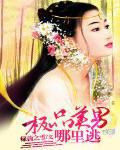 极品美男的基因免费全本1501
