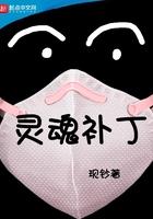 灵魂补丁是什么意思